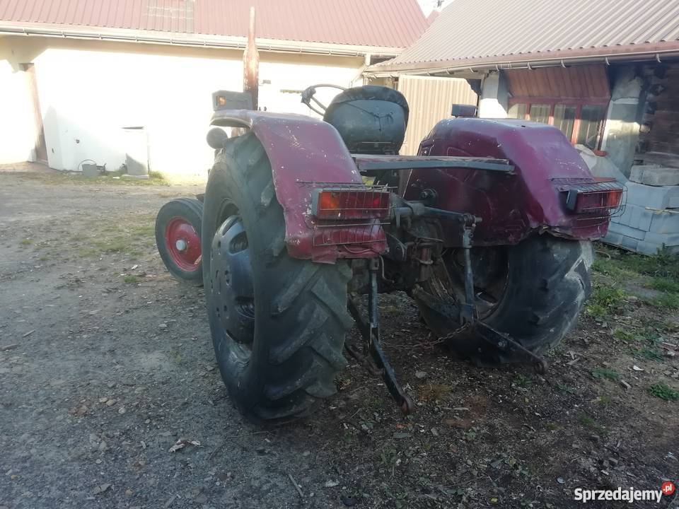 Zetor majorek Wąchock sprzedam