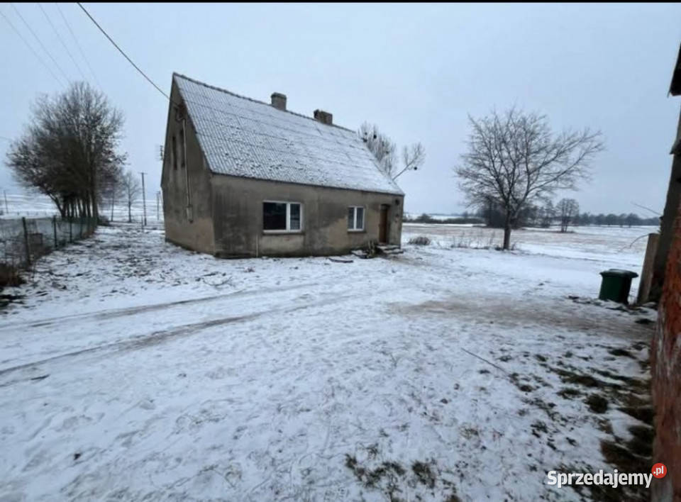 Sprzedam dom z działką Rok budowy 1960 Sprzedaż Mierucin