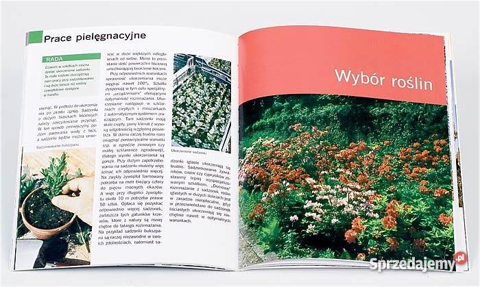 Ogród wiecznie zielony Szczecin