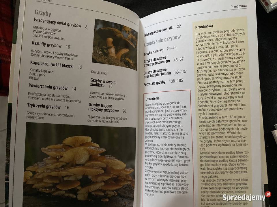 Atlas grzybowRHofrichter twarda Lublin