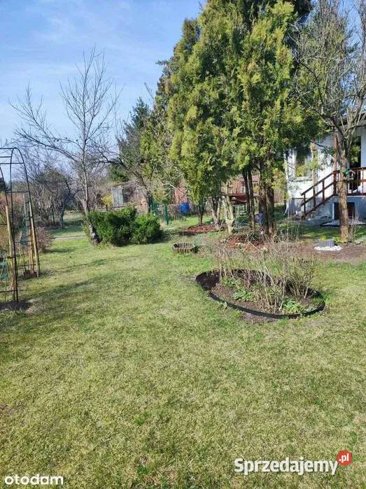 Działka ROD Łódź Zdrowie 410 m altana piwnica