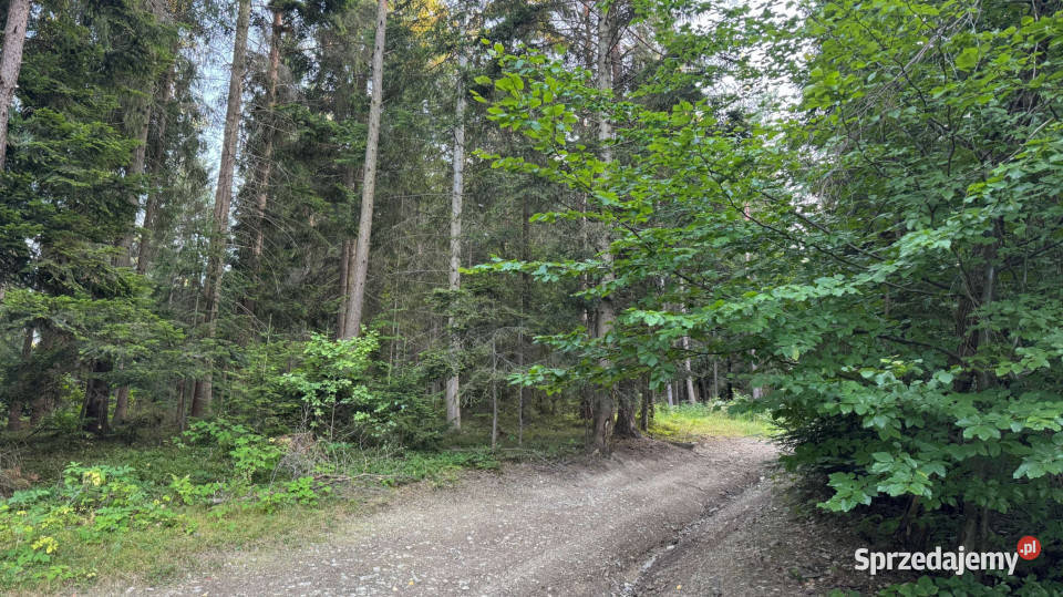 Działka leśna 20 700 m Kasina Wielka utwardzona