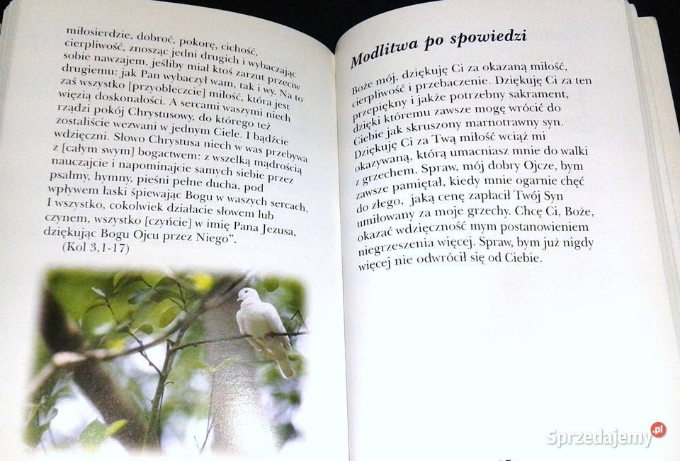 Otrzymaliście Jego moc bądzcie Mu świadkami ks Chełm