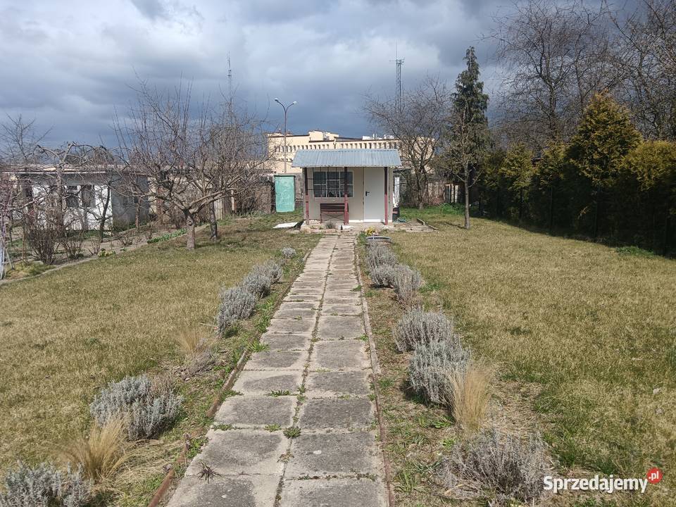 Działka ROD Polpharma Starogard Gdański