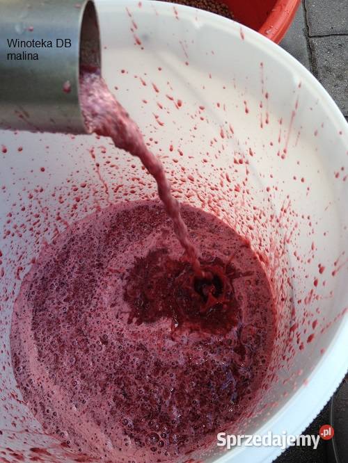 Tłoczenie pasteryzacja soków Pławna Dolna