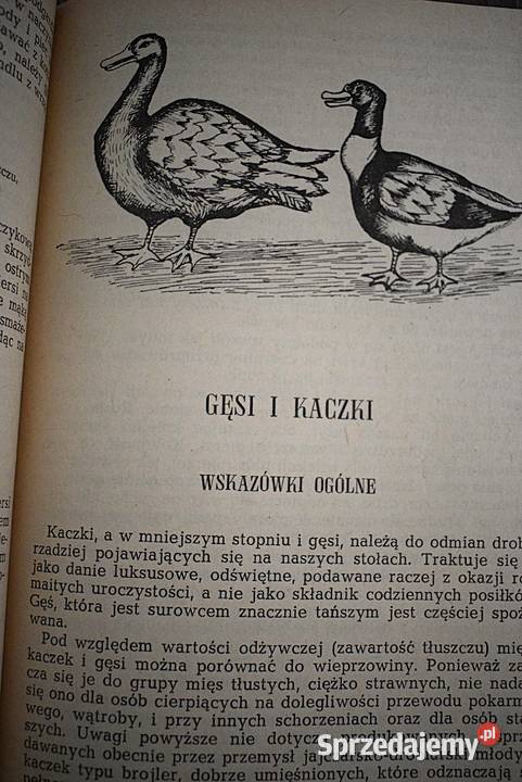 Potrawy z drobiu i dzikiego ptactwa kujawsko-pomorskie Chełmno