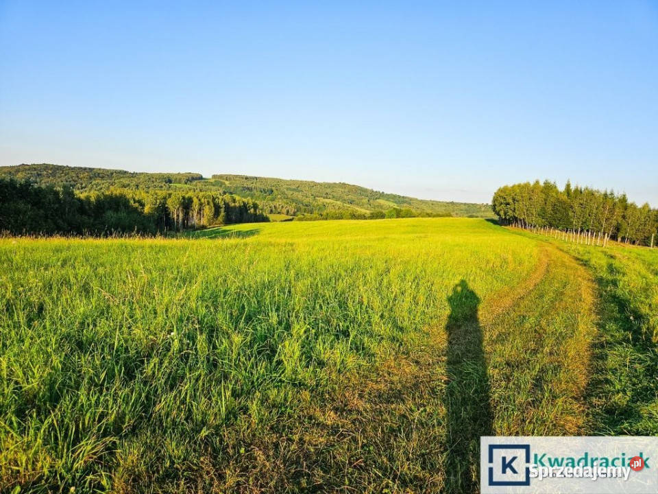 Grunt sprzedam Lutcza 44800m 11zł/m2