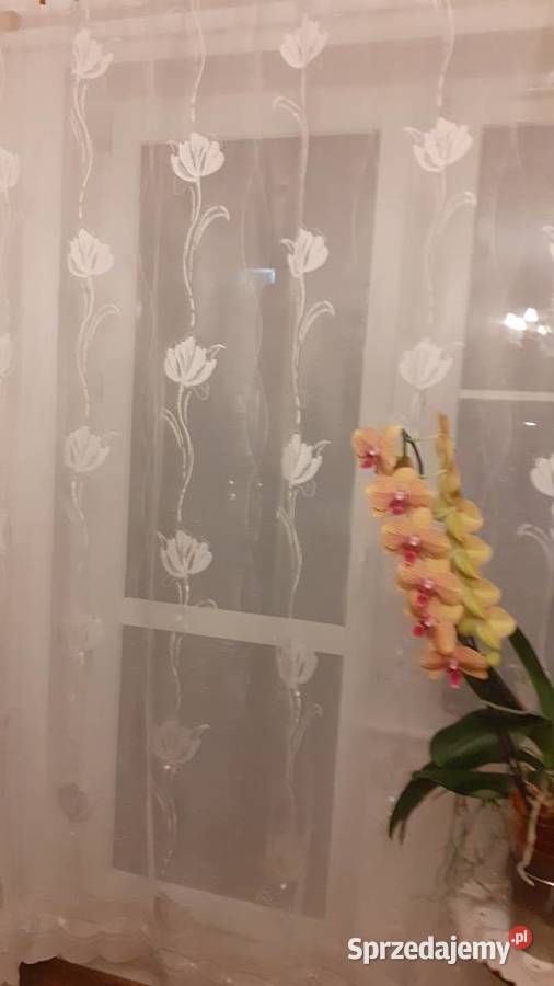 Firana Wystrój okien Szczecin