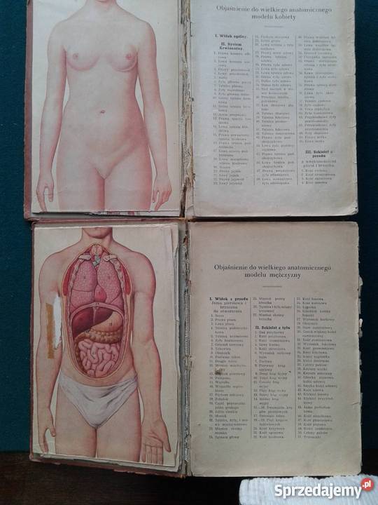 NOWE LECZNICTWO PRZYRODNICZE Antykwariat