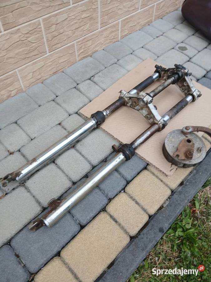 Wsk lelek dudek bąk Równe