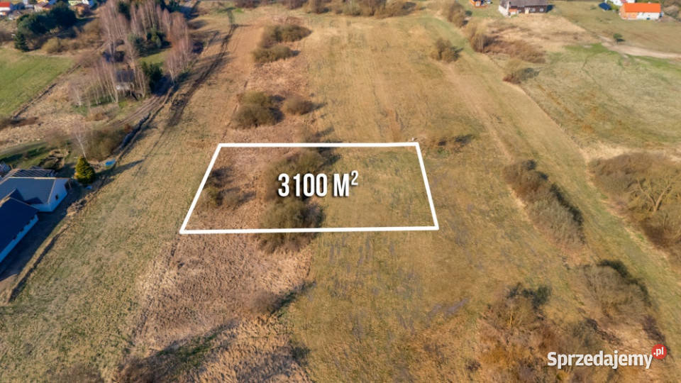 Działka w zielonej okolicy z wydanymi warunkami Szczecin