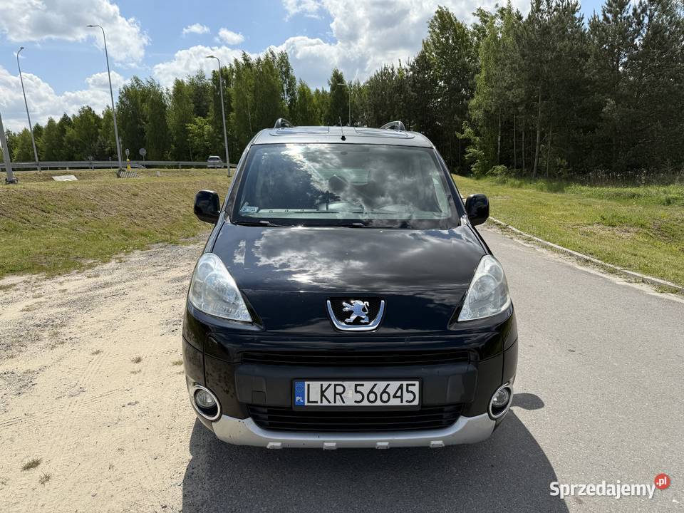 Peugeot Partner Motoryzacja