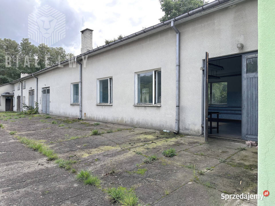 Lokal 800m2 Mrozy