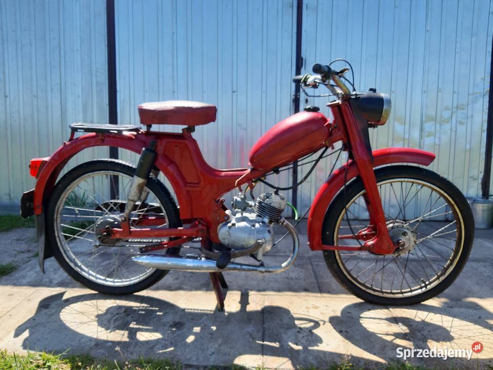 Komar z papierami Bełchatów