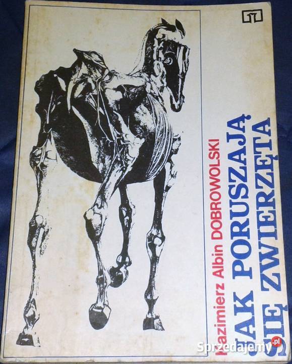 poruszają się zwierzęta K A Dobrowolski Chełm sprzedam