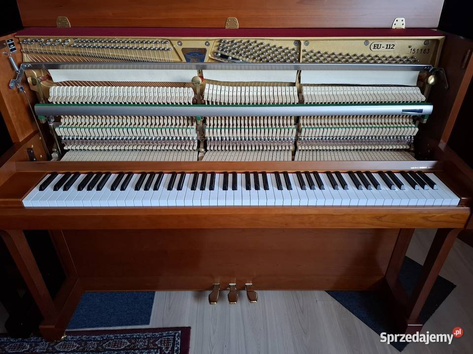 Pianino Eutepre CBECHSTEIN model EU112 stannowe Brzesko sprzedam