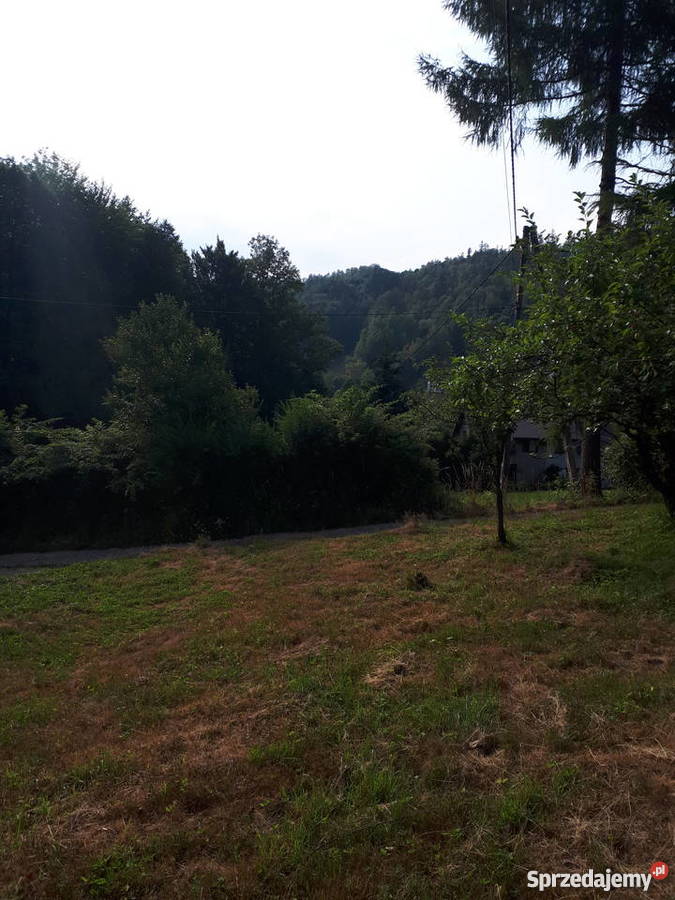 Okazja Ustroń dom Domy śląskie