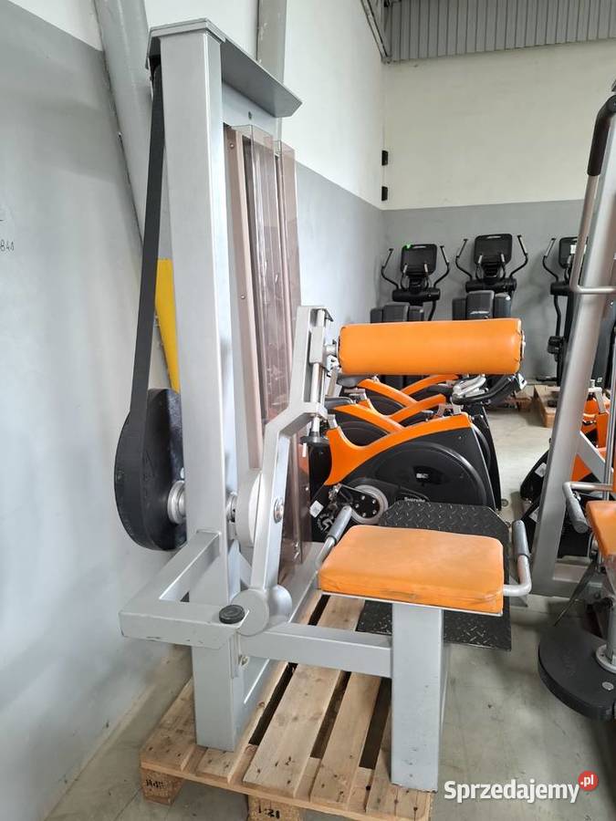 Profesjonalna maszyna na prostowniki pleców Wałcz