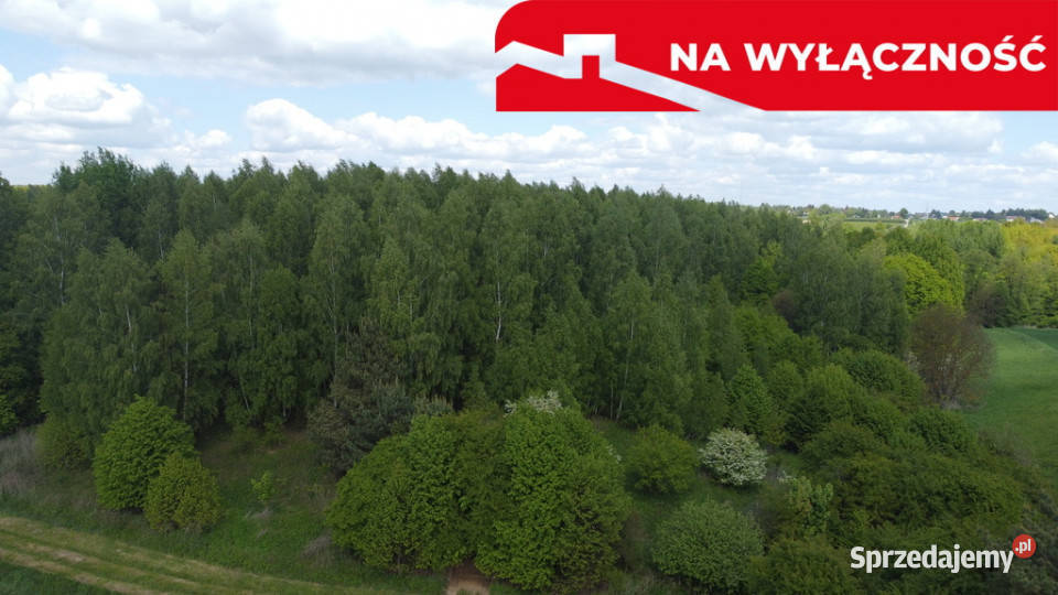 Działka 215 ha z potencjałem koło Nałęczowa rolna Chruszczów-Kolonia sprzedam