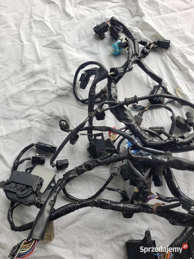 HONDA GOLD WING GL1800 SC79B 1823 OEM WIĄZKA