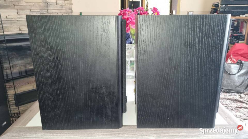 Wybitne kolumny monitory ASW Cantius ML II MK2 Warta
