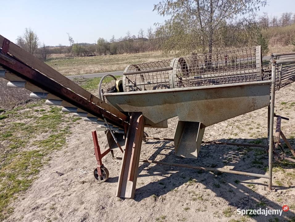 Sortownik do ziemniaków napędzany przekaźnikiem Rypin