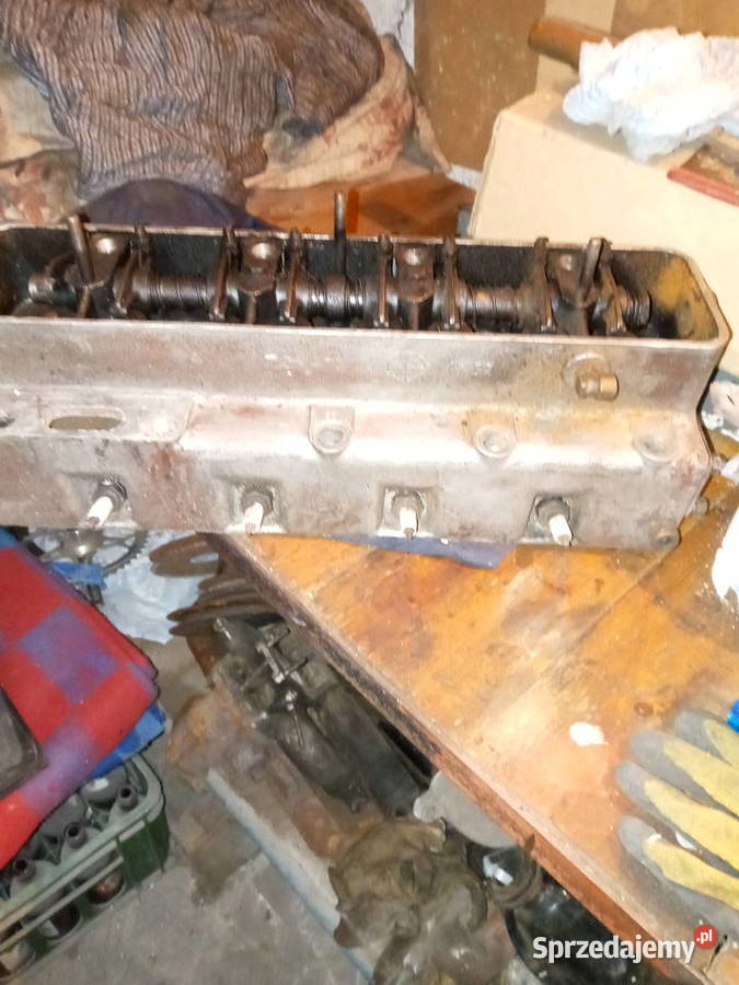 żuknysa częsci sprzedam śląskie