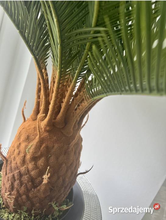 Sztuczna palma z kokosem żywa PREMIUM hit