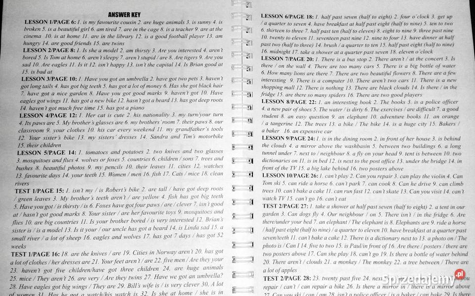 Mistrz angielskiego kurs kl 46 Piotr Dwornik Chełm sprzedam