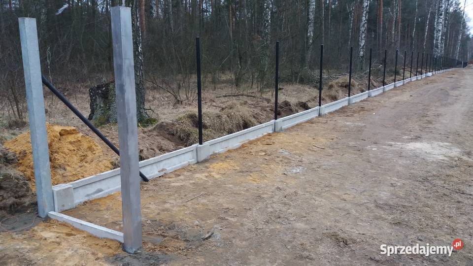 ogrodzenie z siatki Zakroczym