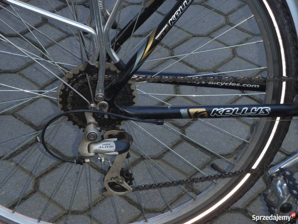 Kellys Lagoon Tarnów