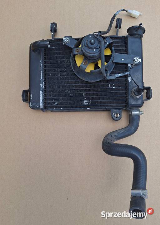 HONDA CBR 125 WENTYLATOR CHŁODNICA WODY CIECZY Bieleń