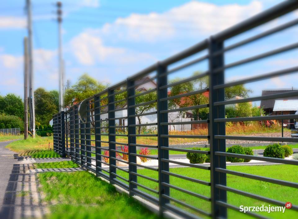 Brama skrzydłowa 500x120 GOLD 28 bramy przęsła skrzydłowa wielkopolskie