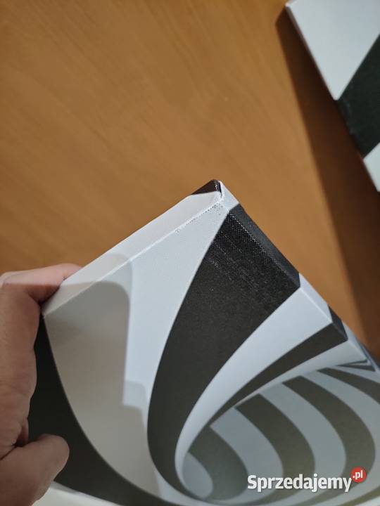 Obraz tryptyk 4 części czarno biały Okazja Warszawa sprzedam