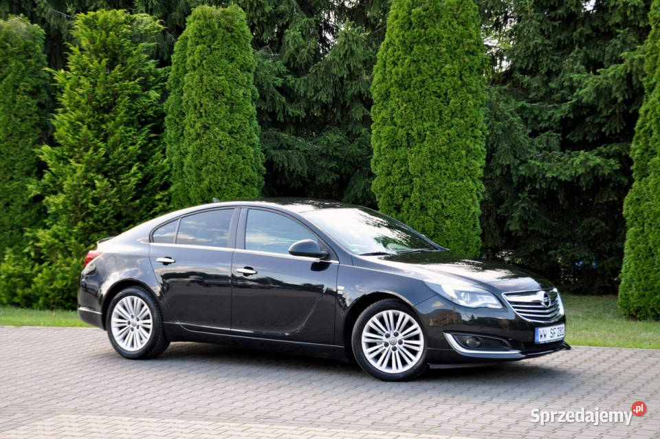 Opel Insignia lakier metallic