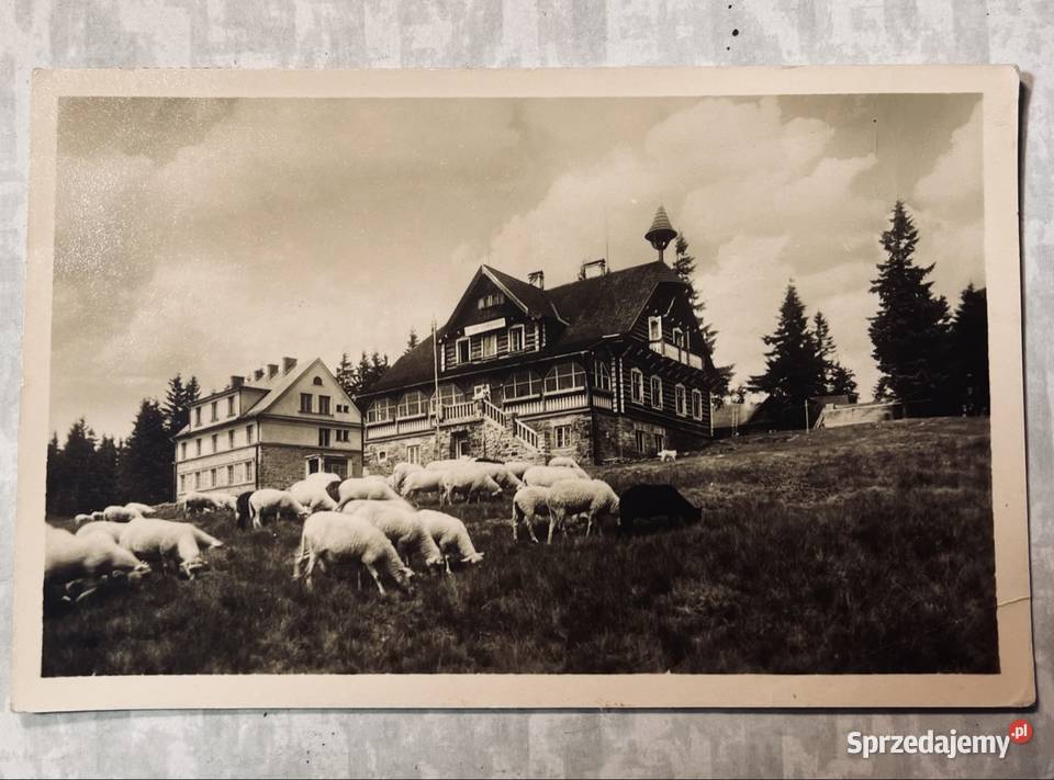 Czechosłowacja 1955r Beskidy Grudziądz sprzedam