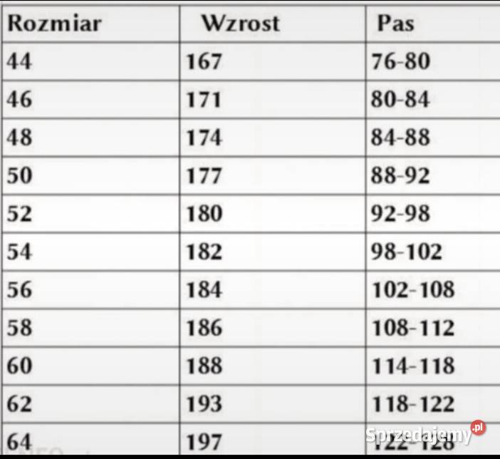 Spodnie robocze biodrówki L Szczecin