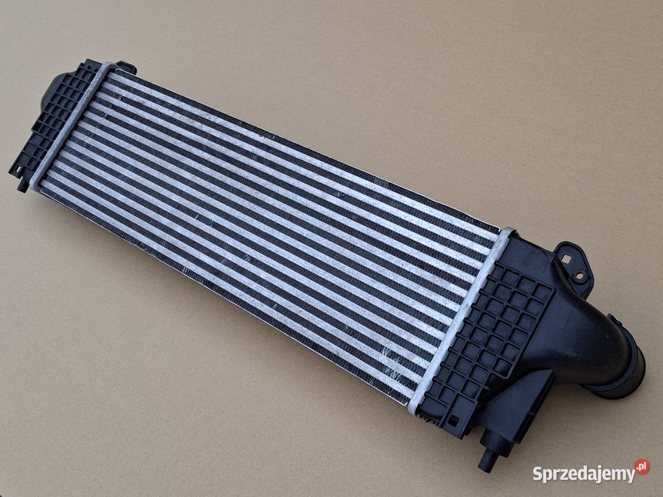 IVECO DAILY E5 E6 140 170 210 INTERCOOLER Bieleń sprzedam