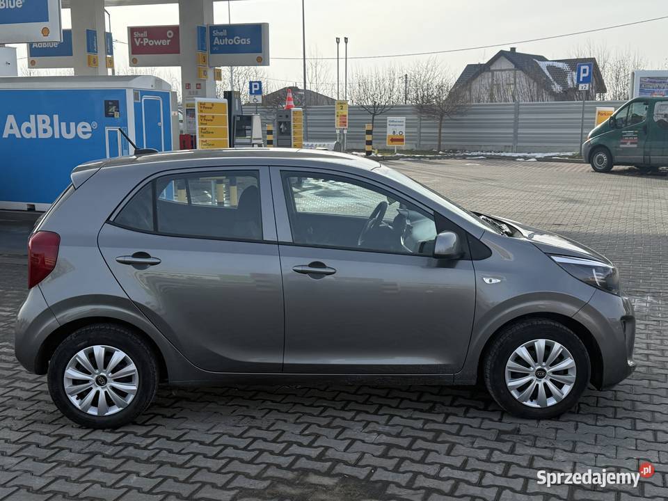 Kia Picanto 2023 benzyna Picanto Krosno