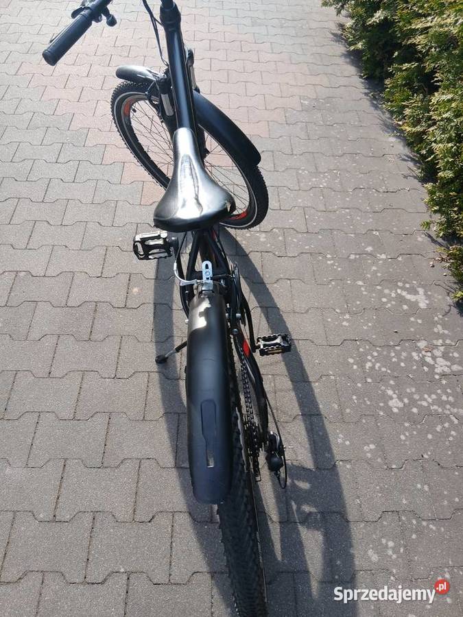 Sprzedam Kaczory