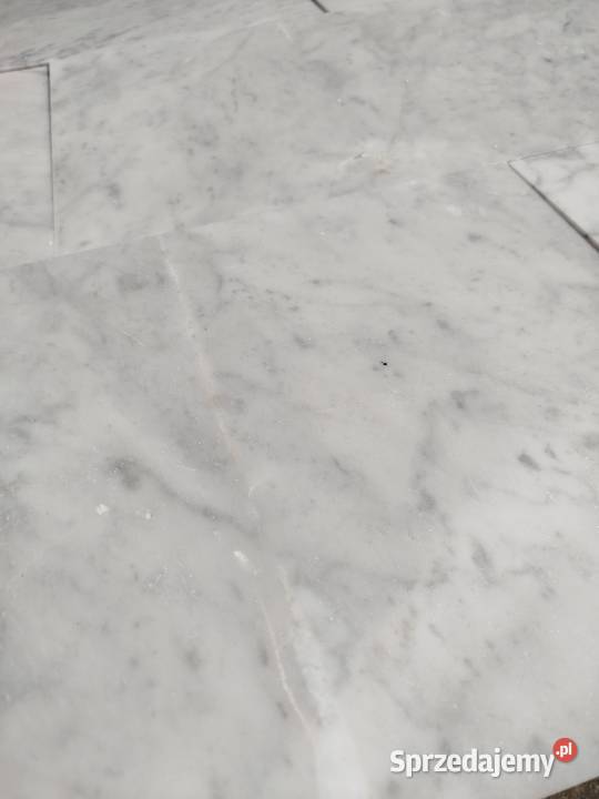 Płytki marmurowe Carrara Bianco 60x30x2 matowa Przemyśl