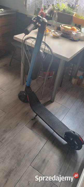 Hulajnoga Ninebot by Segway Poznań