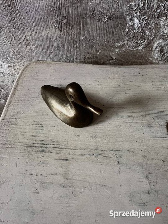 Mosiężna kaczka Bytom