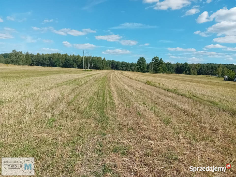 Sprzedaż domu 156m2 Daleszyce Liczba pokoi 3