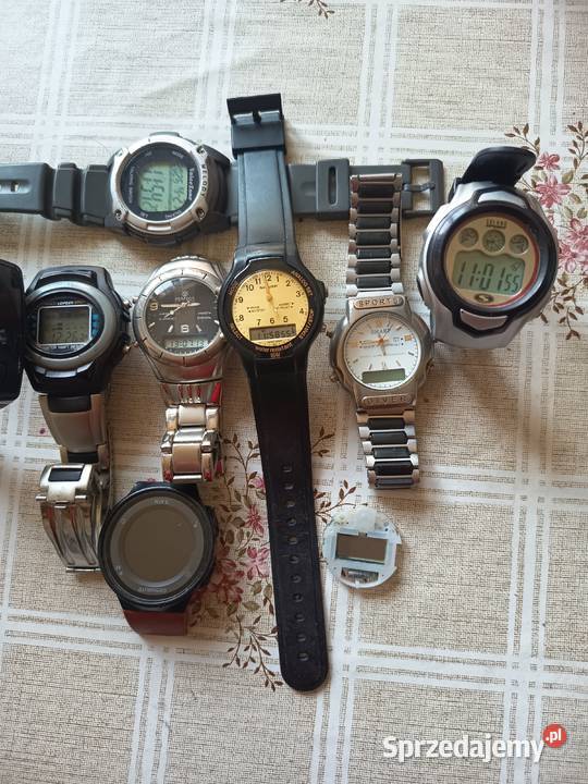 Zegareki wielkopolskie Lwówek sprzedam