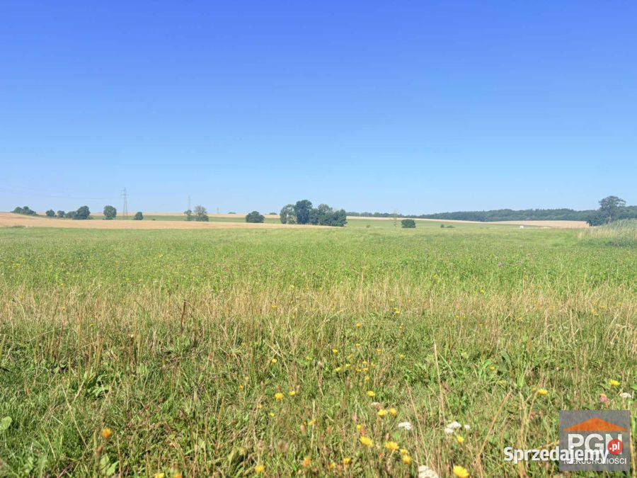 Działka Gryfice 1100m2 polna Sprzedaż