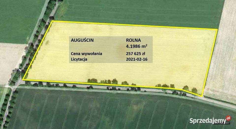 Rolna ponad 4 ha dostęp do drogi licytacja Auguścin