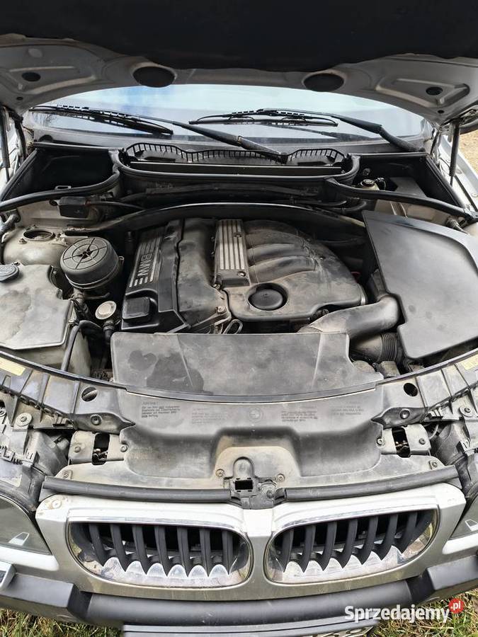 Silnik BMW e83 N46B20B