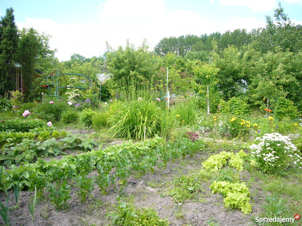 Działka Olsztyn 4 ary Olsztyn