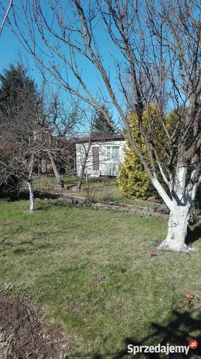 Sprzedam działkę ROD Leśna Polana wielkopolskie Poznań sprzedam